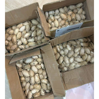 พร้อมจัดส่ง 🧡‼️ ชีสยักษ์ จีนใหญ่ โปรตีนสำหรับสัตว์เลี้ยง ไขมันต่ำ ประโยชน์สูง