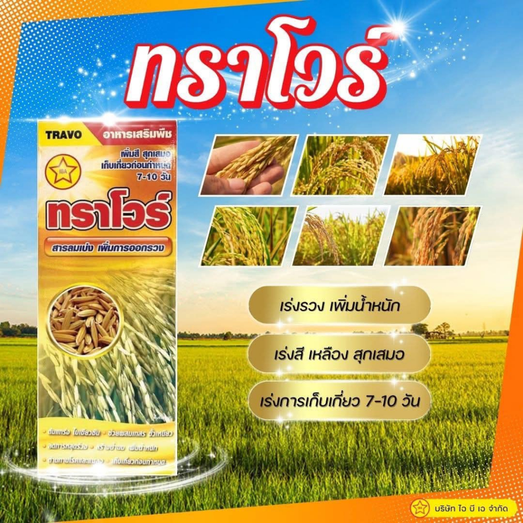 ทราโวร์ 1ลิตร ฮอร์โมนข้าว ฮอร์โมนข้าวท้อง สารลมเบ่ง อาหารเสริมข้าว เม็ดเต่ง น้ำหนักดี รวงใหญ่ ฮอโมนข้าวตั้งท้อง ข้าวออกร