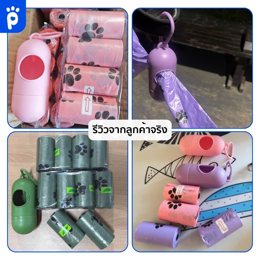 รูปภาพ 5