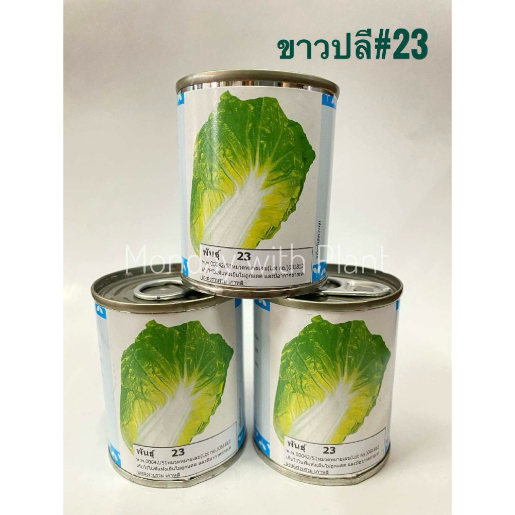 เมล็ดผักกาดขาวปลี พันธุ์ 23 ตราลูกโลก ขนาด 15 กรัม ผักกาดขาว ขาวปลี