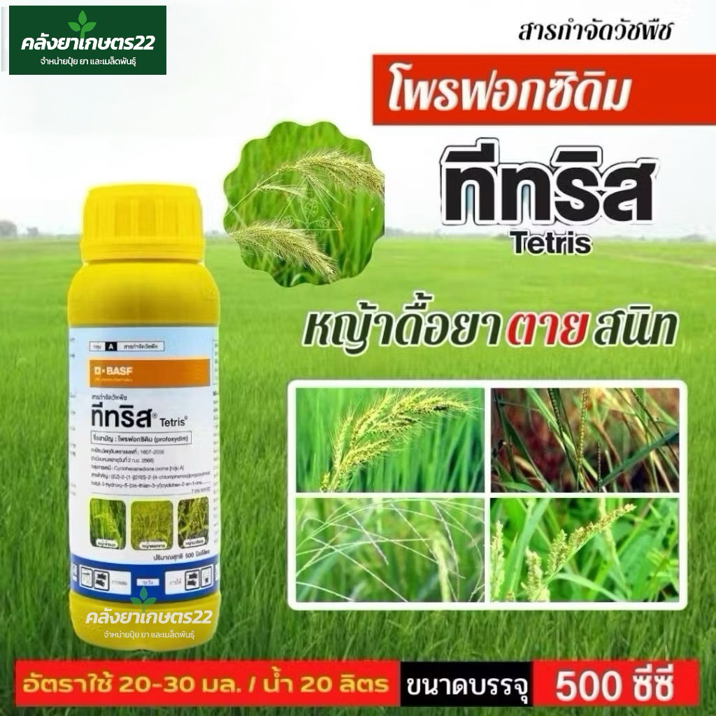 BASF ทีทริส 500ซีซี (โพรฟอกซิดิม) หญ้าดื้อยา** วัชพืชใบแคบ