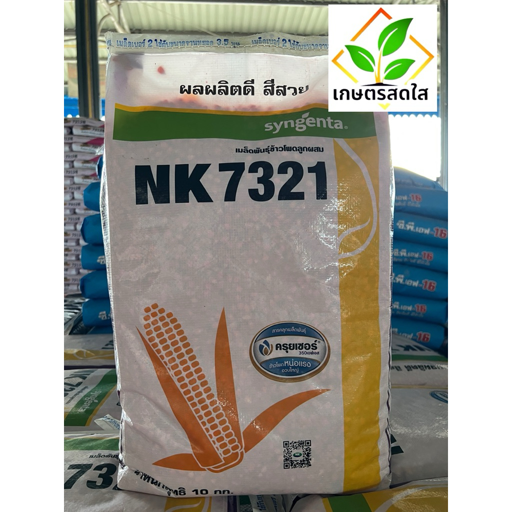 ข้าวโพด NK7321 ขนาด 10 กก. (3.5 หุน) ใบตั้ง ปลูกถี่ได้ ให้ผลผลิตสูง ฝักมีความสม่ำเสมอ