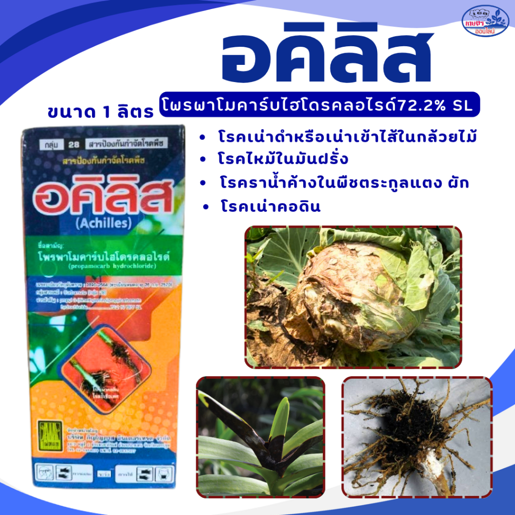 โพรพาโมคาร์บไฮโดรคลอไรด์ 72.2%SL ป้องกันกำจัดโรคเน่าคอดิน เชื้อราไฟทอปธอร่า 1 ลิตร สำหรับป้องกันโรคเน่าดำในกล้วยไม้
