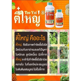 กำจัดเพลี้ยไฟไรแดง ตี๋ใหญ่ 500 cc