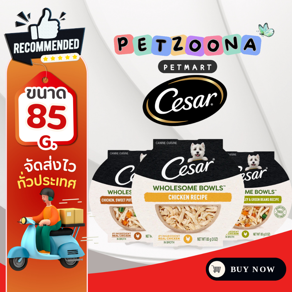 Cesar wholesome bowls ซีซาร์ โฮลซัม โบวล์ อาหารเปียกสำหรับสุนัข อายุ 1ปีขึ้นไป ขนาด85g.