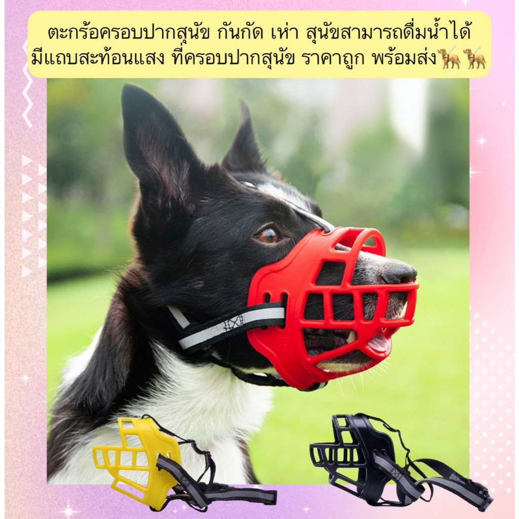 BN-1240 ตะกร้อครอบปากสุนัข กันกัด กันเห่า ดื่มน้ำได้ พร้อมแถบสะท้อนแสง สีสวย ราคาถูก พร้อมส่ง
