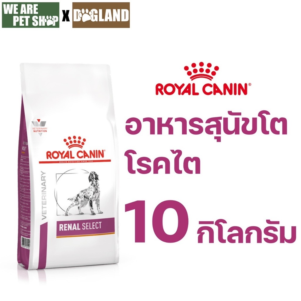 Royal Canin Vet Dog 10 kg RENAL SELECT สุนัขโรคไต