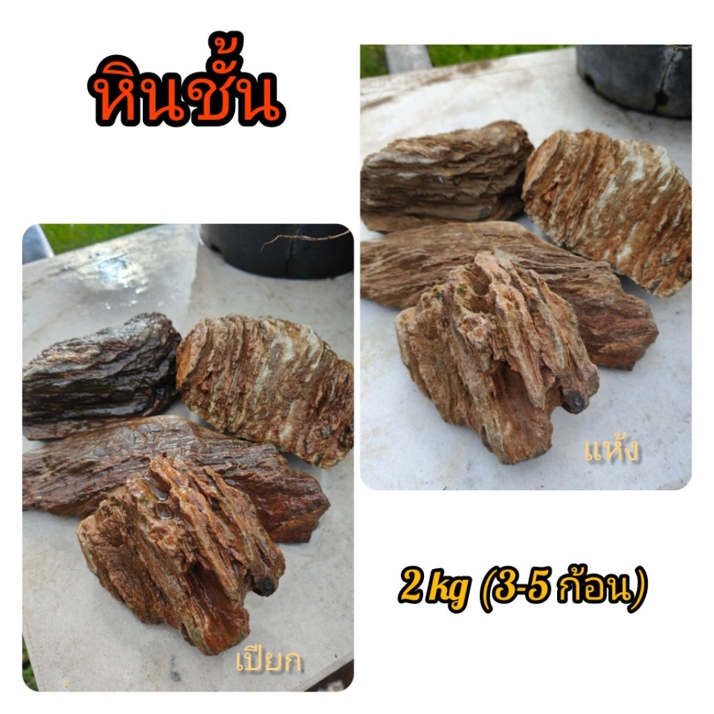 หินชั้น หินน้ำตก ชุด2 กิโล(ได้3-5ก้อน คละไซส์) หินจัดตู้ปลา หินจัดเลเอาท์ หินจัดสวน