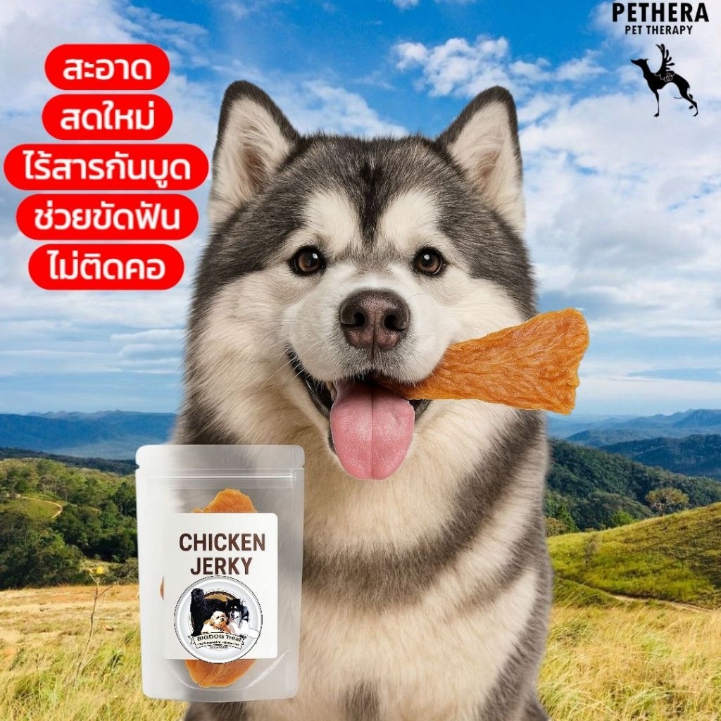 ขนมสุนัข อกไก่ สันในไก่อบแห้ง 100% ไม่ปรุงรสไม่ใส่วัตถุกันเสีย ทำสดใหม่ทุกวัน