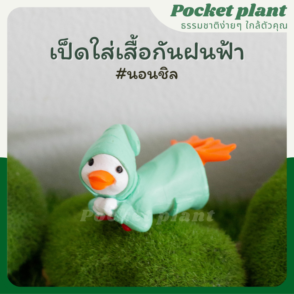 มุมมอง 9