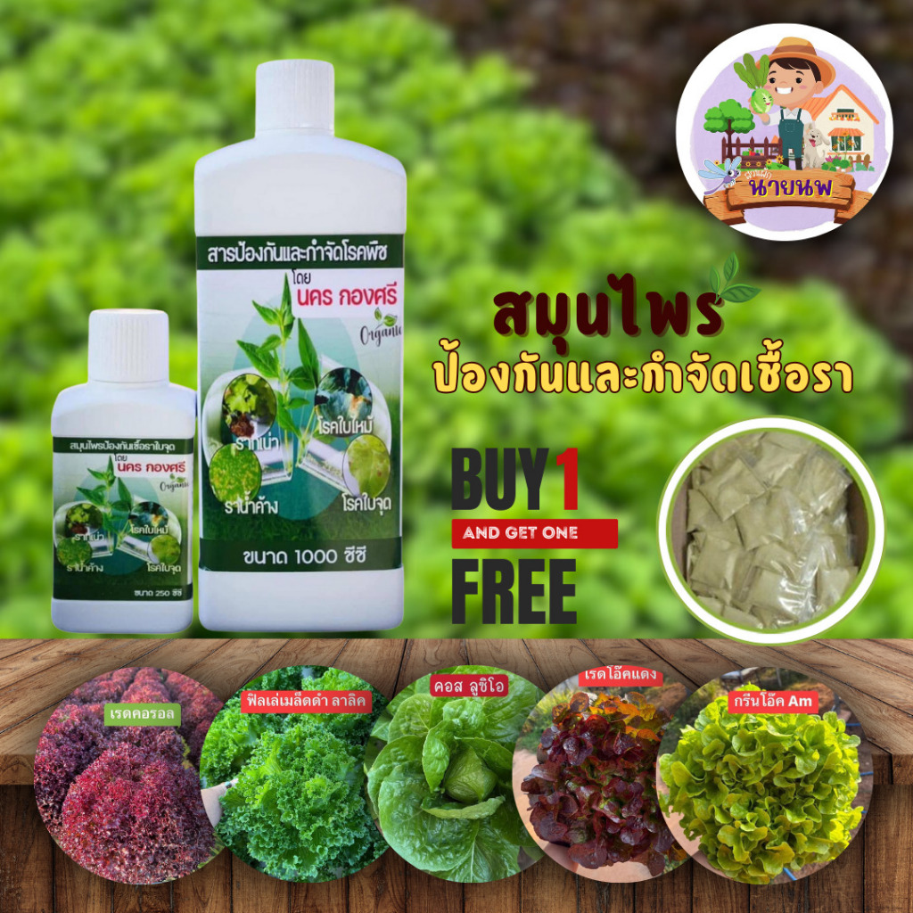 ชีวภาพ ออแกนิกส์สมุนไพรป้องกันเชื้อรา สำหรับพืชน้ำ