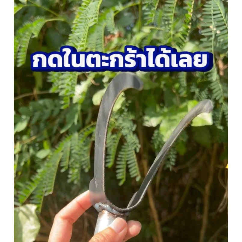 มีดสางอ้อยสแตนเลส thumbnail 6