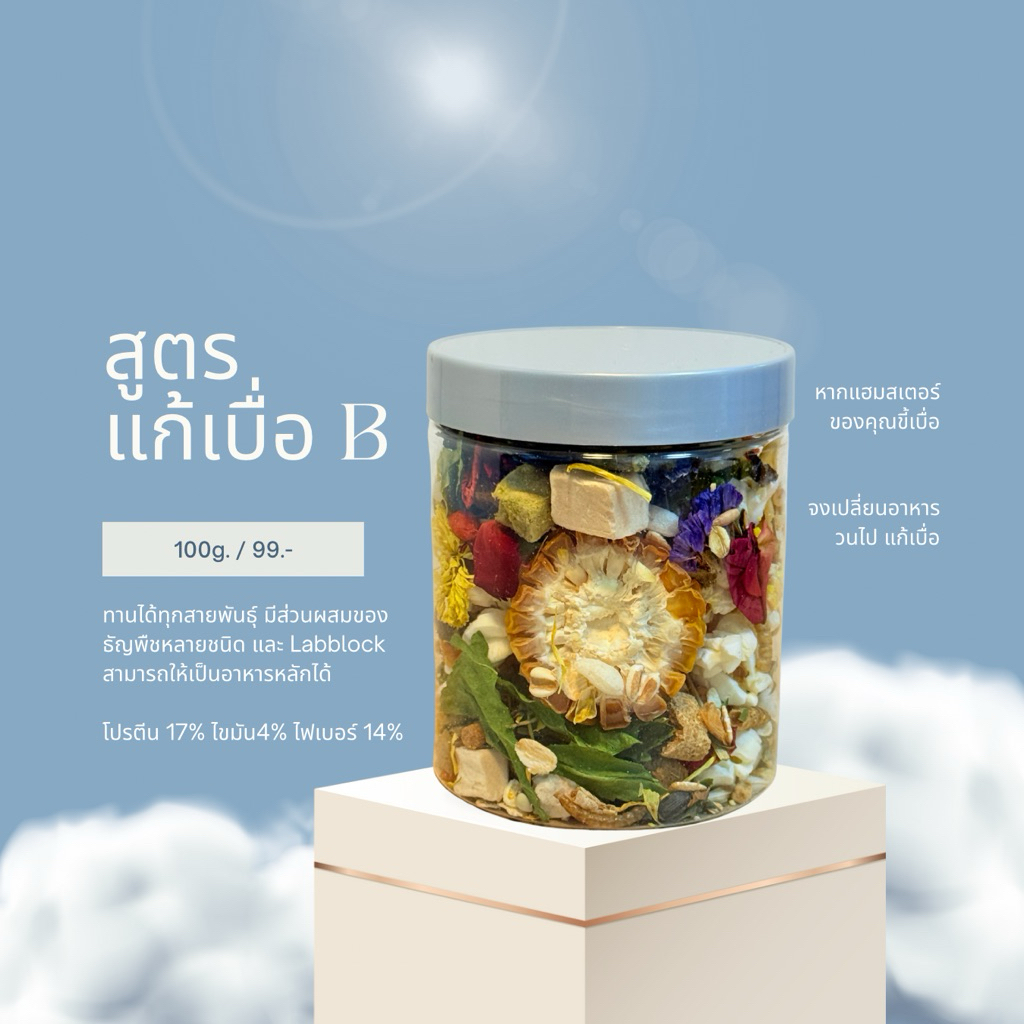 สูตรใหม่ อาหารแฮมสเตอร์บ้านช่อ สูตร “วนแก้เบื่อ”