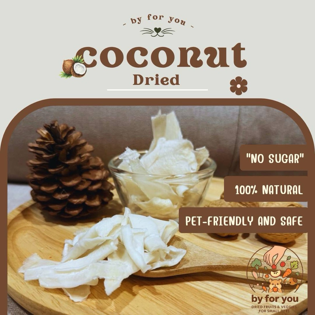 มะพร้าวอบแห้ง by for you | ขนมผลไม้อบแห้งสำหรับสัตว์เลี้ยงฟันแทะ หนู กระรอก กระต่าย นก 🍃🥥