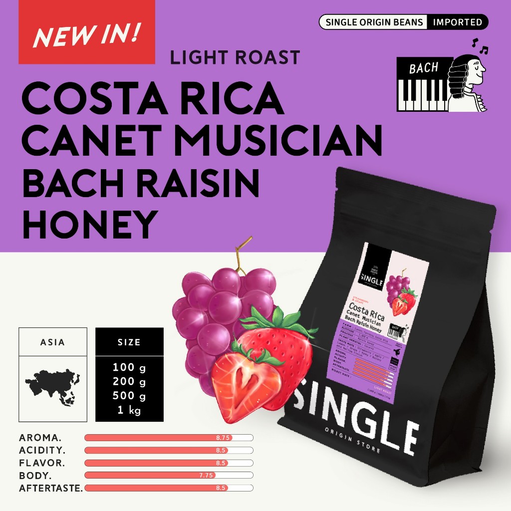 เมล็ดกาแฟคั่วอ่อน Costa Rica Canet Musician Bach Raisin Honey