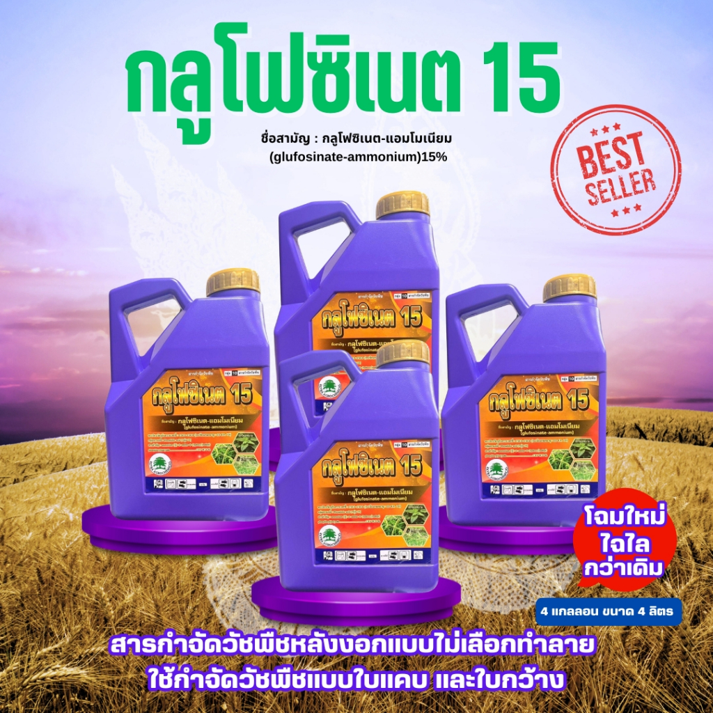 [แพ็ค 4 แกลลอน] กลูโฟซิเนต15 ขนาด 4 ลิตร เอ็กซ์ตร้า กระติกม่วง ทนฝน กลูโฟซิเนต-แอมโมเนียม15 ฆ่าหญ้า กำจัดวัชพืช ฆ่าหญ้า