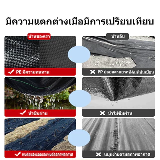 Daily Gold ผ้าคลุมดิน(เกรด A) พลาสติกคลุมวัชพืช พราสติกคลุมดิน น้ำซึมผ่านได้ ป้องกันรังสี UV รับประกัน5ปี