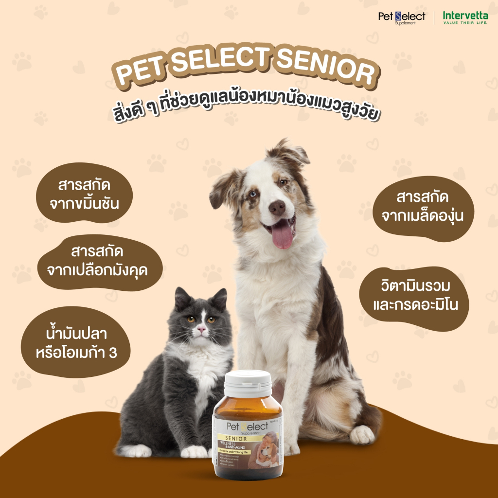 Pet Select Senior อาหารเสริมสุนัข แมว สูงอายุ มีสารต้านอนุมูลอิสระ บรรจุ 30 เม็ด