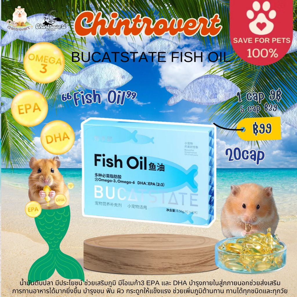 Chintrovert ✨| BUCATSTATE fish oil🐟 น้ำมันตับปลาตัวดัง แบ่งขาย/ยกกล่อง | แฮมเตอร แฟตเทล ดอร์เมาท์ ชูการ์ ดัมโบ้
