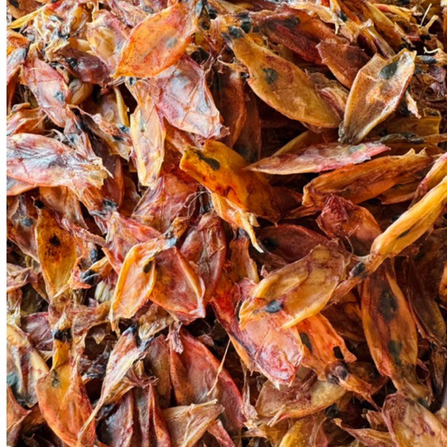 หมึกกระตอยไดร์500กรัม(2A)