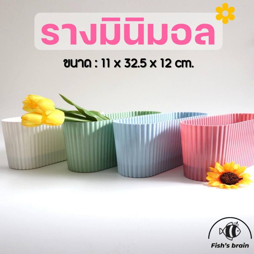 กระถางรางยาว 4นิ้ว รางมินิมอล กระถางรางลูกฟูก กระถางต้นไม้