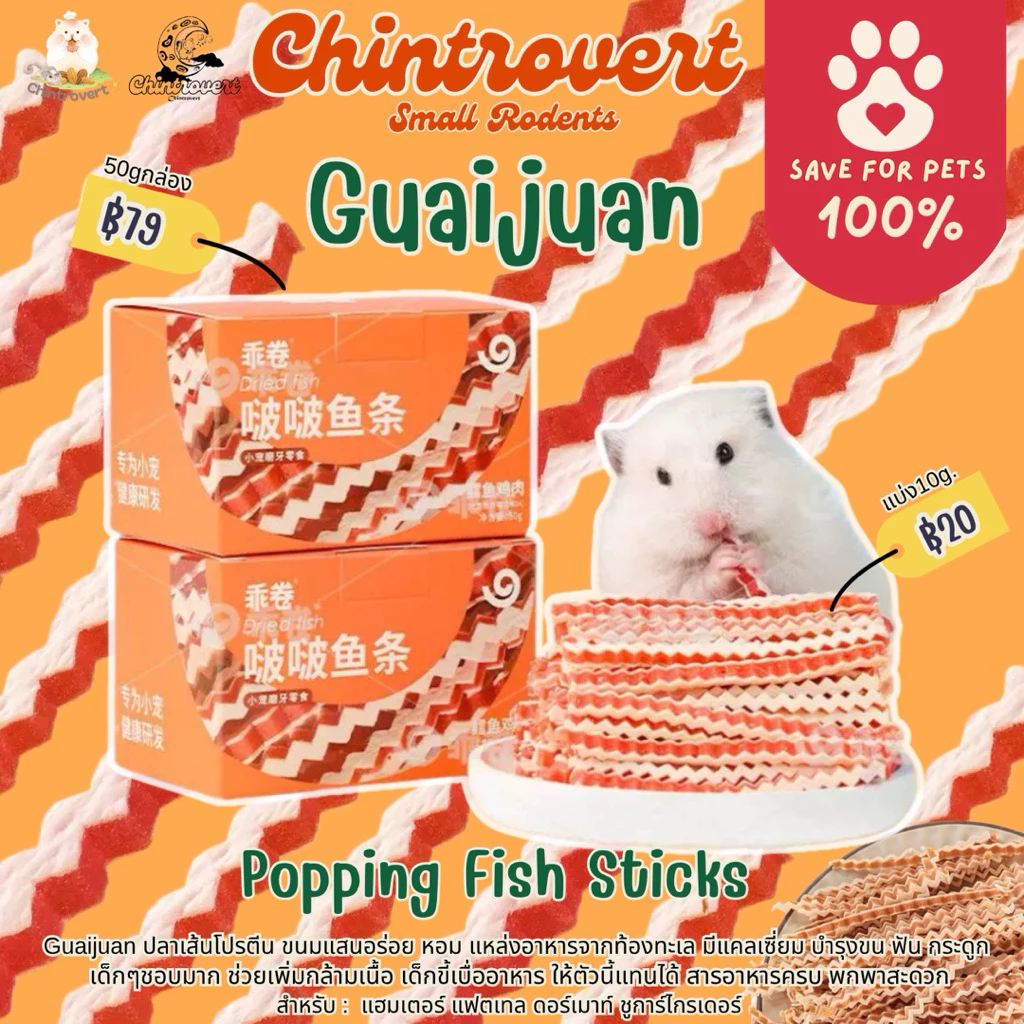 Chintrovert ✨| Guaijuan Fish Sticks ปลาเส้นลับฟัน หอม อร่อย มีประโยชน์ บำรุงขน ฟัน กระดูก | แฮมเตอร์ แฟตเทล ดอเมา ชูก้า