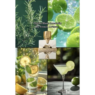 FRENCH AVENUE AROMATIX PLATINE BLANC EXdp 4 recensioni Remind of Torino21 Xerjoff