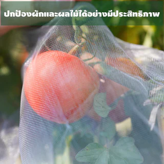 Daily Gold มุ้งขาว มุ้งขาวโรงเรือน 32ตา/40ตา/60ตา มุ้งกันแมลงผัก ตาข่ายกันแมลง มุ้งโรงเรือน กันแมลง มุ้งปลูกผัก