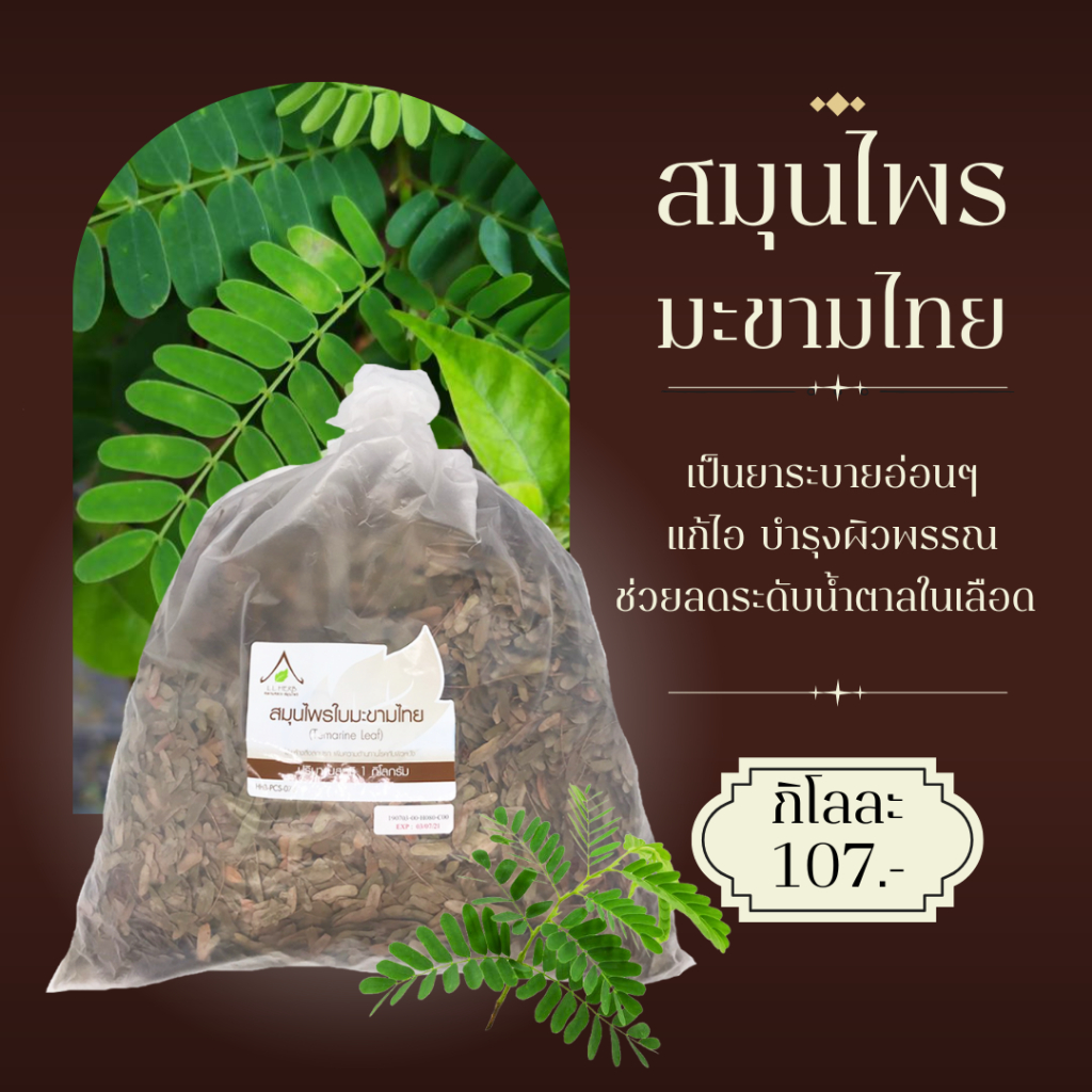 ใบมะขามไทย ตากแห้งแบบชิ้น 1 กิโลกรัม (Thai tamarind leaves Dried Size 1Kg.) สมุนไพรตากแห้งแบบชิ้น