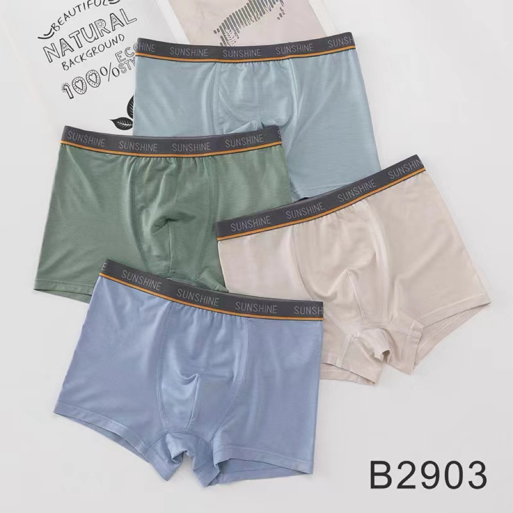เซ็ตกางเกงในผ้าคอตตอนสำหรับเด็กโต 4ตัว B2903