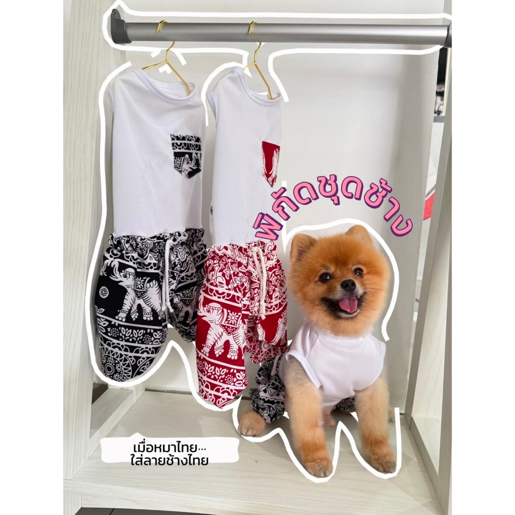 เสื้อผ้าสัตว์ ชุดช้าง กันขนร่วง พร้อมส่ง