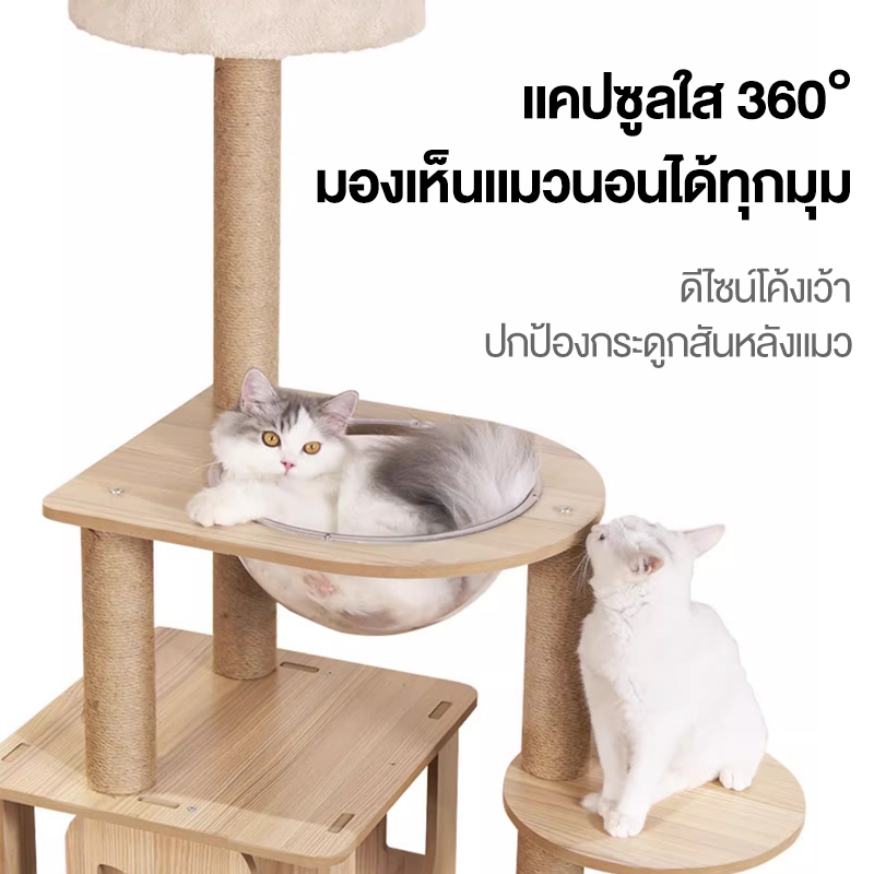 คอนโดแมวหลังใหญ่หลายดีไซน์ ไม้สวยไร้เหลี่ยมคม คอนโดไม้ รูปที่ 4