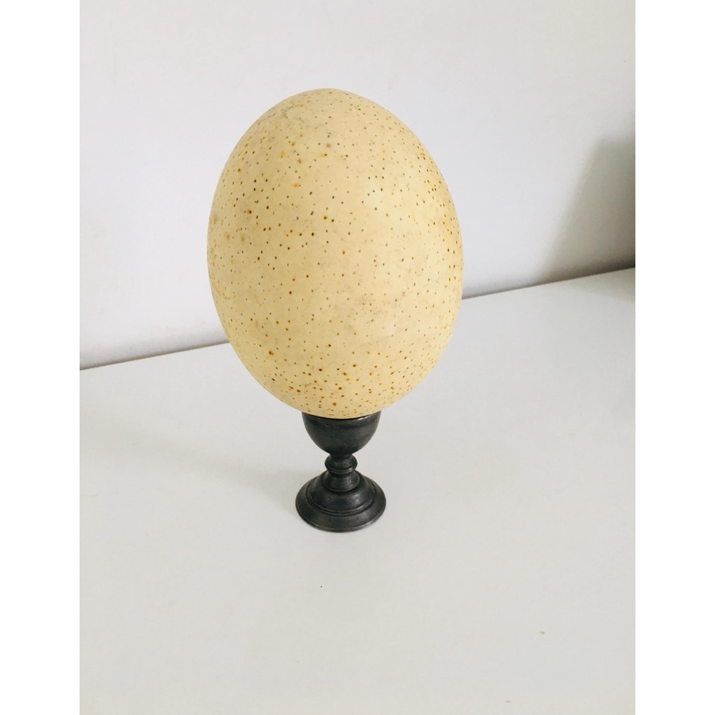 นำเข้า 🪶 ขาย Antique Ostrich Egg 1970s บนถ้วยวินเทจดีบุกแท้ 🪶  ของสะสมหายาก มีเอกลักษณ์เฉพาะตัว  ✨ไข