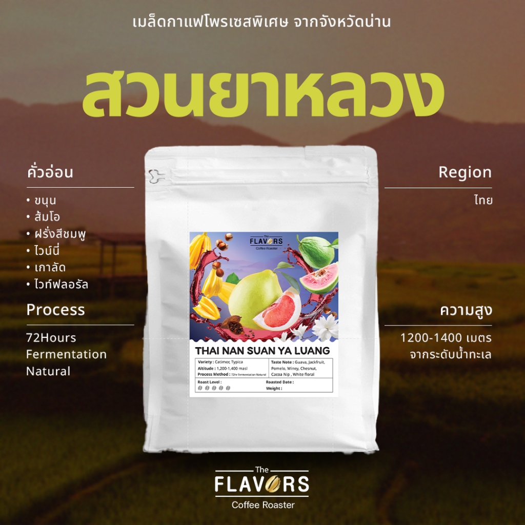 เมล็ดกาแฟคั่วอ่อน 'สวนยาหลวง' จ.น่าน หมัก 72 ชม. ขนาด 100, 200 กรัม หอมหวานอมเปรี้ยวรสไวน์ขนุน