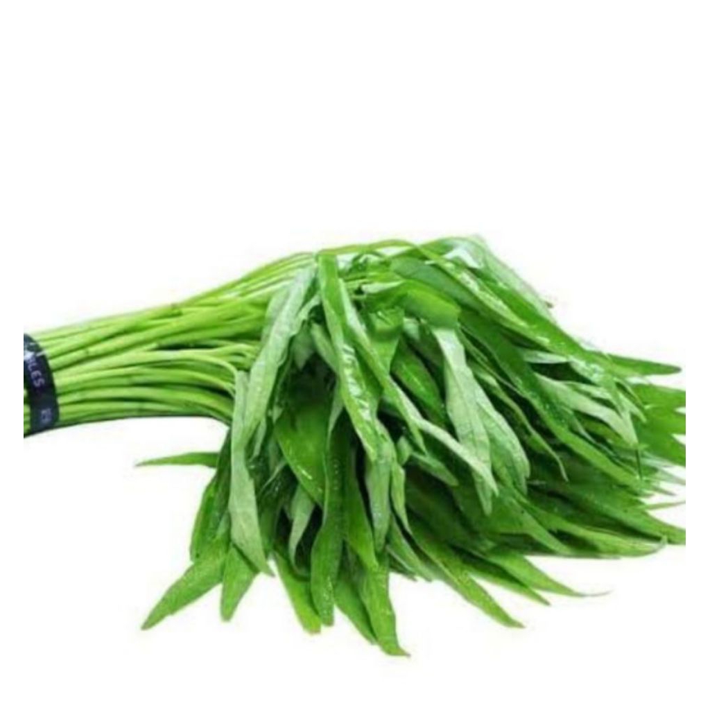 เมล็กผักบุ้ง  10แถม2