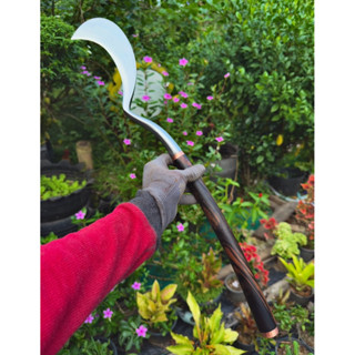 พร้าโอ พร้าปักษ์ใต้คม7นิ้วด้ามไม้พยุงไม้ชิงชันไม้สาธรไม้มะริ…