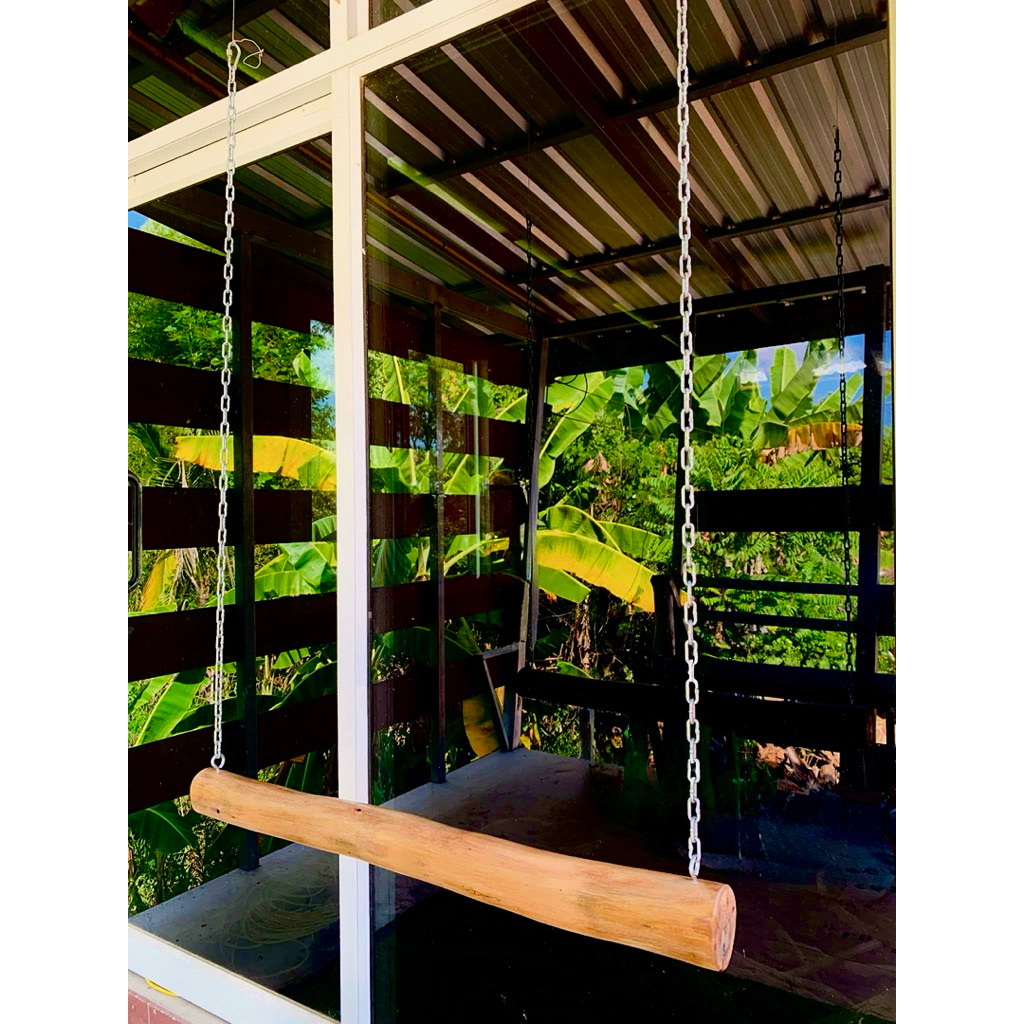ชิงช้านกแก้วขนาดใหญ่  ตกแต่งกรงนก #นกแก้วมาคอร์ #นกแก้วแอฟริกันเกย์ #นกแก้วอเมซอน #นกแก้วอิเล็คตัส ฯลฯ