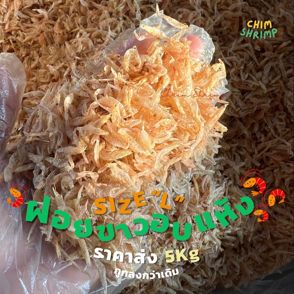 🆕 ราคาส่ง🦞กุ้งฝอยขาวอบแห้งไซส์L (ตัวใหญ่) 5Kg || CHIM SHRIMP