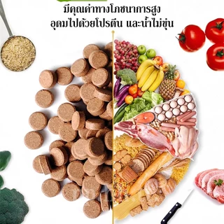 BIOZYM อาหารปลาแปะกระจก อาหารปลา ปลาสวยงาม ปลาหน้าดิน แปะกระจก เม็ดจม