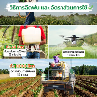 ผงดำเทพสถิตย์ ขนาด 15 กรัม ปุ๋ยทางใบ ใช้ได้ 100 ไร่ อาหารเสริมพืชฉีดทางใบ
