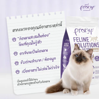 *1kg-2.3kg.* Pramy Feline Solutions อาหารแมวสูตรเฉพาะทาง พัฒนาโดยสัตวแพทย์