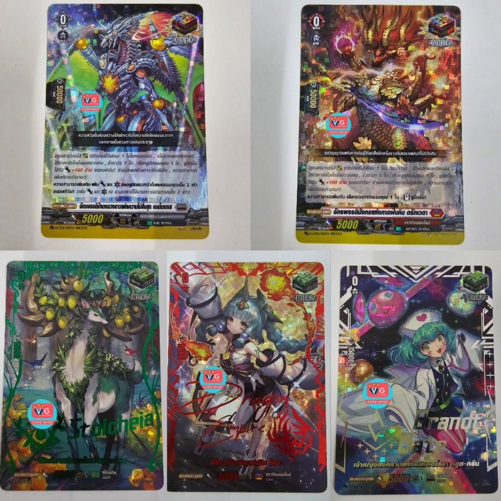 แยกใบ แยกเนชั่น D-CP06 การ์ดหรู แวนการ์ดโอเวอร์เดรส