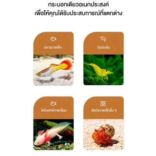 ปลาสวยงาม, ตู้ปลาขนาดเล็ก AS มีฝาปิดป้องกันปลากระโดดออกมา สามารถใช้สำหรับการจัดเก็บ วางอาหารปลา