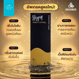 🇰🇷 SEEDBEE แบบรีฟิล 4 ซอง พร้อมใช้ ไม่มีอุปกรณ์ Water Coloring น้ำย้อมผมออร์แกนิค ปิดผมขาว นำเข้าจากเกาหลี