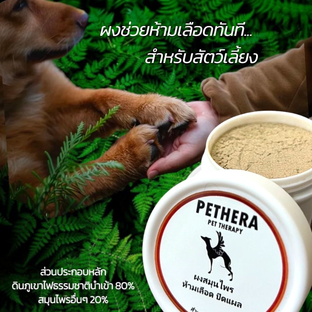 ผงช่วยสมานแผลใน 7 วินาที ลดอาการปวดผลิตจาก Organic เลียได้ ขนาด45กรัม