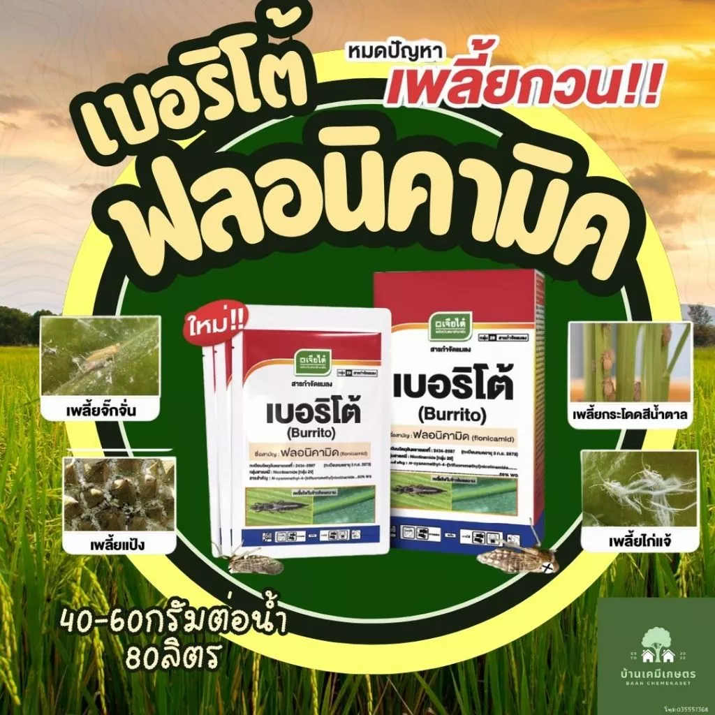 เบอริโต้ ขนาด 250 กรัม ฟลอนิคามิค กำจัดหวี่ขาว เพลี้ยกระโดด