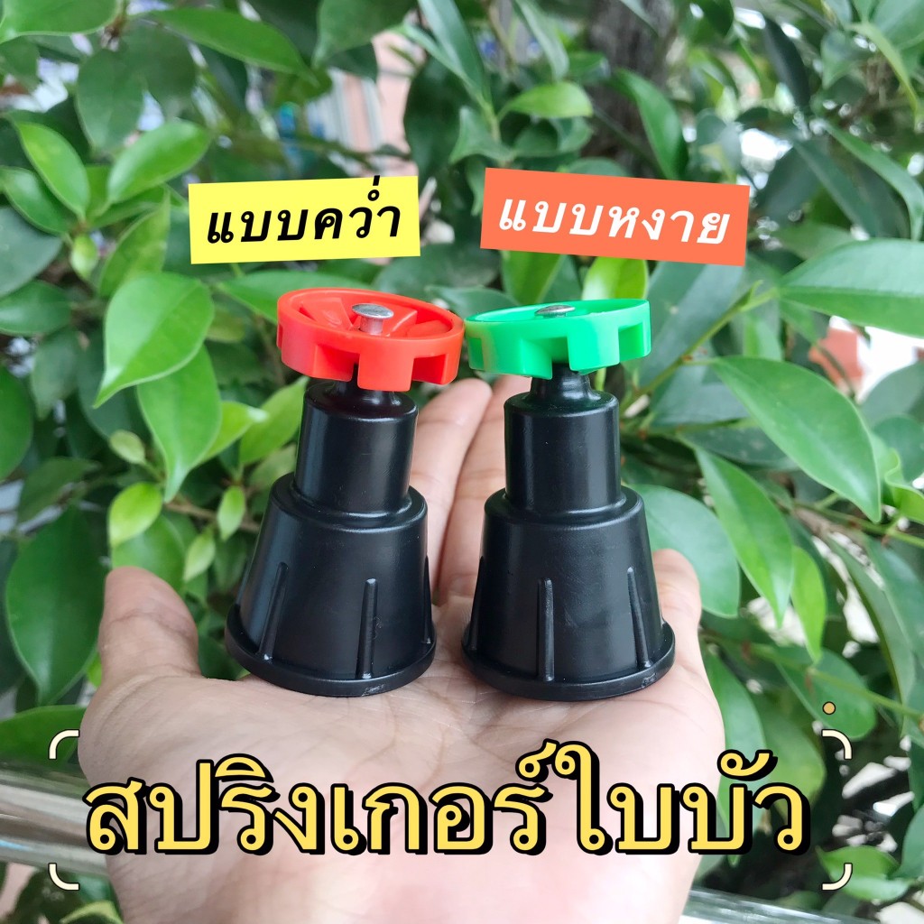 (แพ็ค 5 ตัว,10 ตัว) หัวสปริงเกอร์ใบบัว เกลียวใน 1/2" x 3/4" (แบบหงาย-สีเขียว/แบบคว่ำ-สีส้ม) ตรา ไชโย