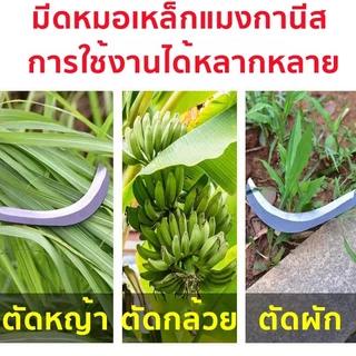 [พร้อมส่ง]เคียวเหล็กแมงกานีส คมกริบ แข็งแรงทนทาน ใช้เกี่ยวข้าว ตัดหญ้า ฟันกิ่งไม้ ⭐ มีหลายขนาด