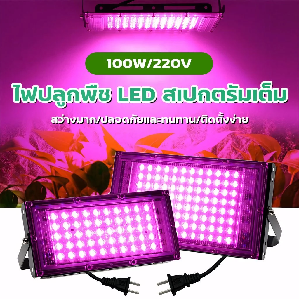 ไฟเลี้ยงต้นไม้ ไฟปลูกต้นไม้ 100W ไฟเลี้ยงแคคตัส ไฟเลี้ยงไม้ด่าง ไฟเลี้ยงกระบองเพชร Full Spectrum LED Growth Lights