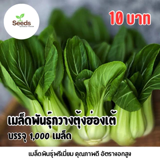 เมล็ดพันธุ์ กวางตุ้งฮ่องเต้ บรรจุ 1,000 เมล็ด/ซอง